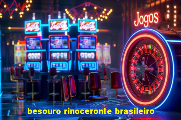 besouro rinoceronte brasileiro